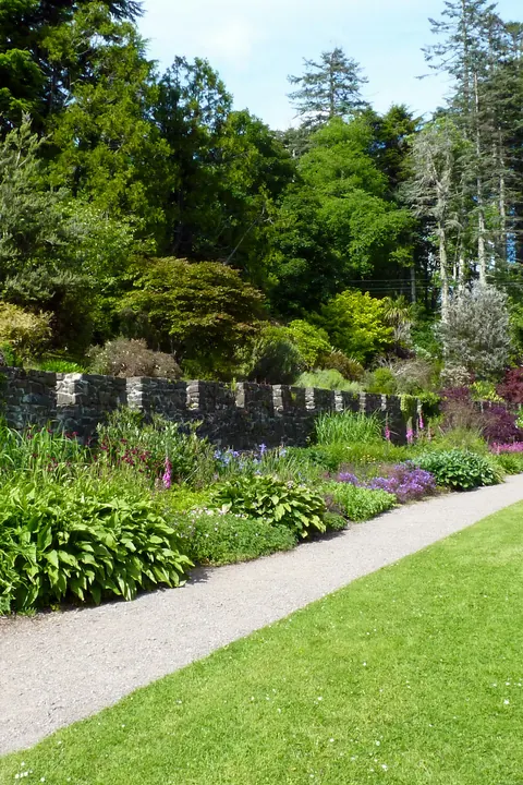 A gravel path beside a trimmed lawn and planted border
